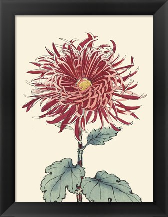 Framed Chrysanthemum Woodblock I Print