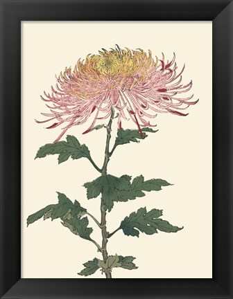 Framed Chrysanthemum Woodblock II Print