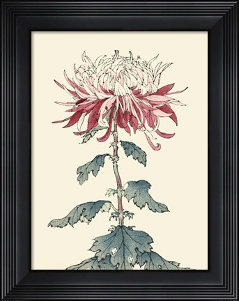 Framed Chrysanthemum Woodblock III Print