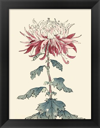 Framed Chrysanthemum Woodblock III Print