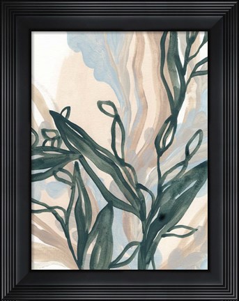 Framed Seaweed Drift II Print