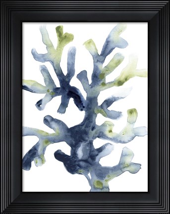 Framed Liquid Coral I Print