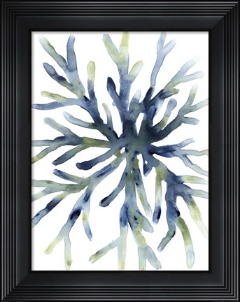 Framed Liquid Coral II Print