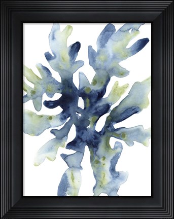 Framed Liquid Coral IV Print