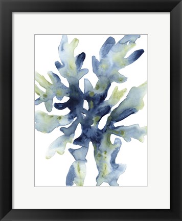 Framed Liquid Coral IV Print