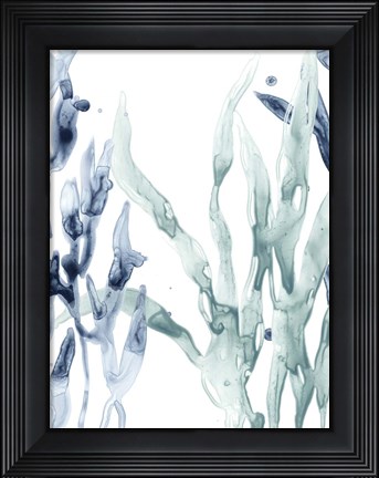 Framed Blue Kelp II Print