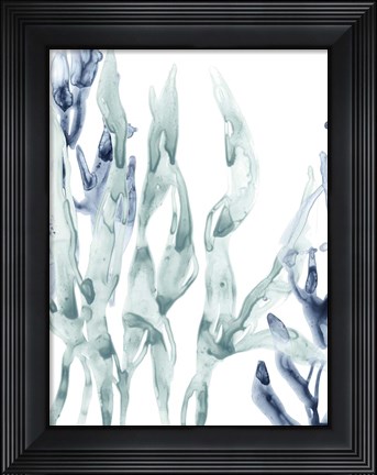 Framed Blue Kelp III Print