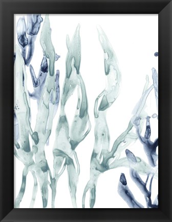 Framed Blue Kelp III Print