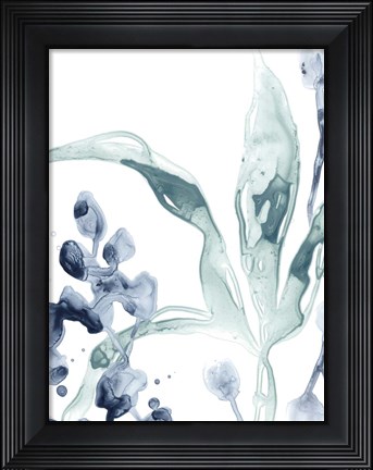 Framed Blue Kelp IV Print