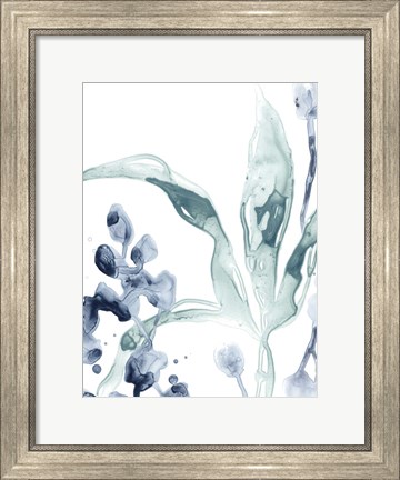 Framed Blue Kelp IV Print