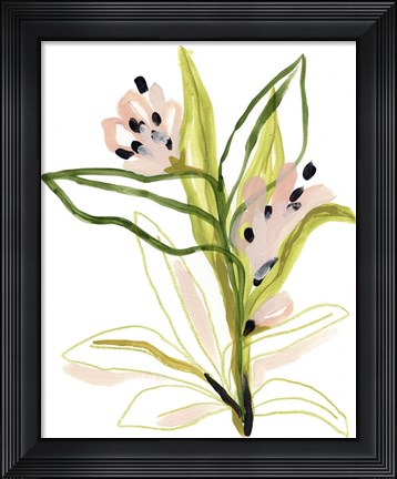 Framed Tropical Cadenza III Print