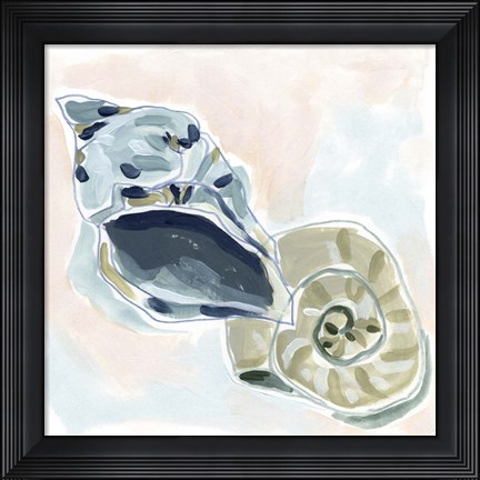 Framed Shell Melody II Print
