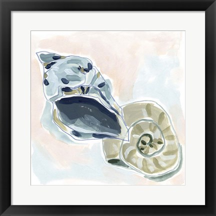 Framed Shell Melody II Print