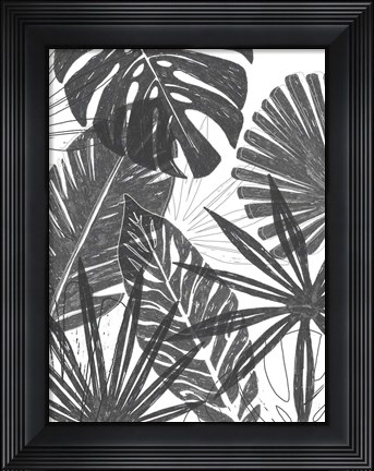 Framed Palm Shadows I Print