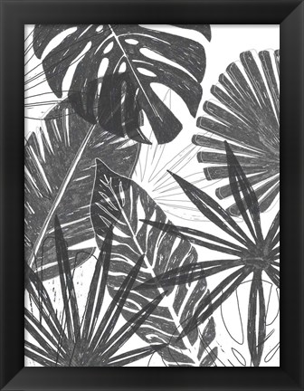Framed Palm Shadows I Print