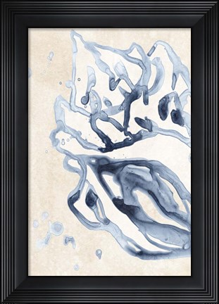 Framed Water Shells II Print
