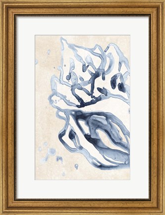 Framed Water Shells II Print