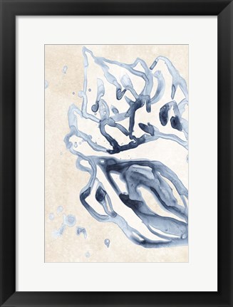 Framed Water Shells II Print