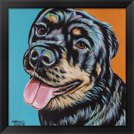 Framed Rottweiler I Print