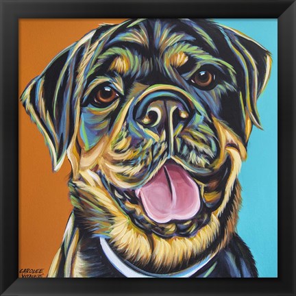 Framed Rottweiler II Print