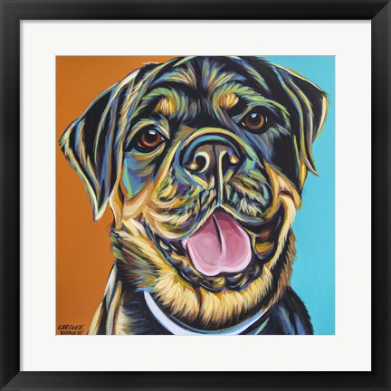 Framed Rottweiler II Print