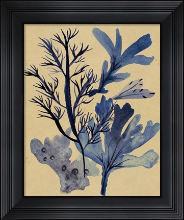 Framed Underwater Forest I Print