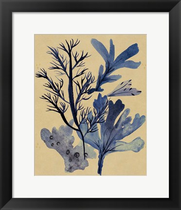 Framed Underwater Forest I Print