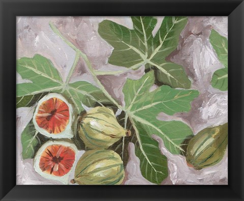 Framed Decorative Fig I Print