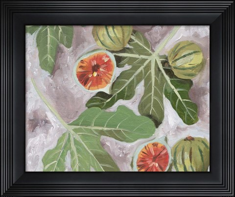 Framed Decorative Fig II Print