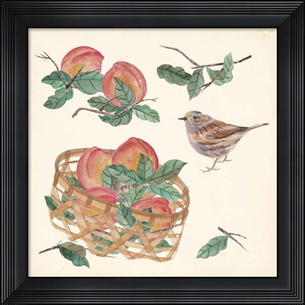 Framed Basket with Fruit II Print