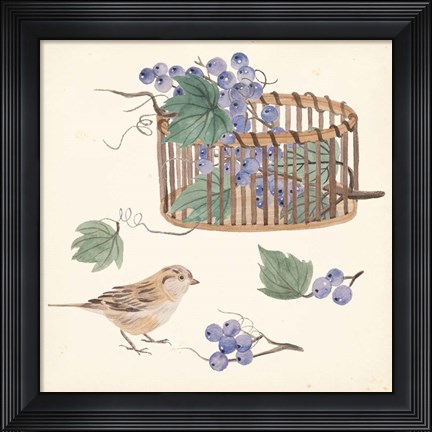 Framed Basket with Fruit V Print