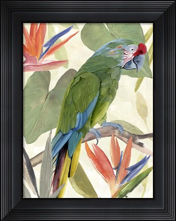 Framed Tropical Parrot Composition I Print