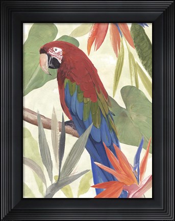 Framed Tropical Parrot Composition III Print