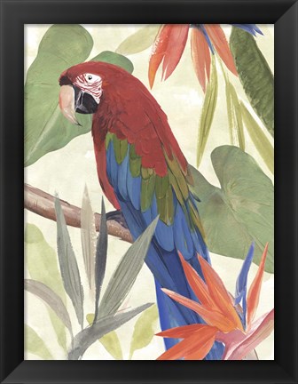 Framed Tropical Parrot Composition III Print