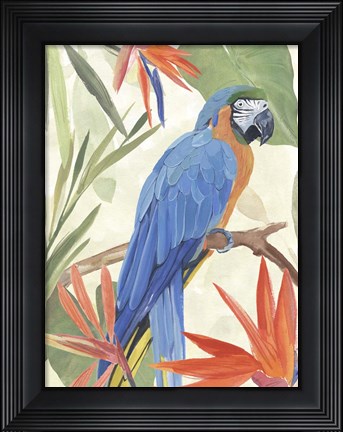 Framed Tropical Parrot Composition IV Print