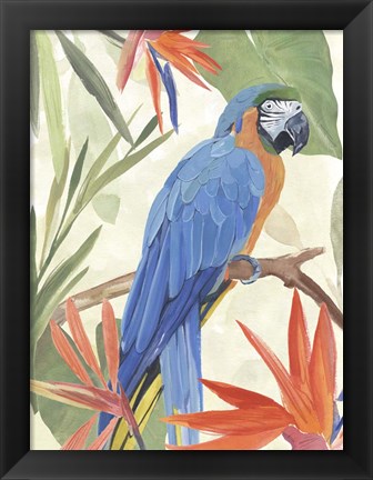 Framed Tropical Parrot Composition IV Print