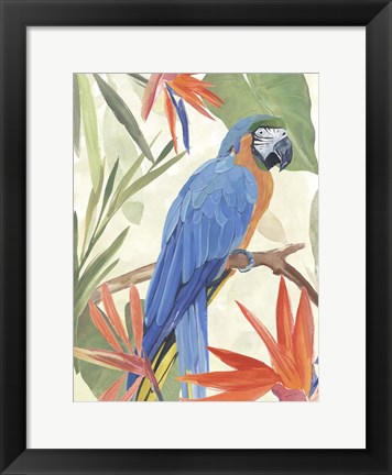 Framed Tropical Parrot Composition IV Print