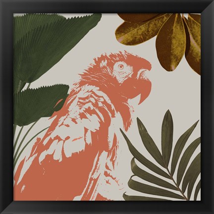 Framed Graphic Tropical Bird I Print