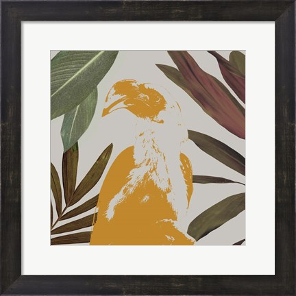 Framed Graphic Tropical Bird II Print