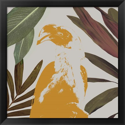 Framed Graphic Tropical Bird II Print