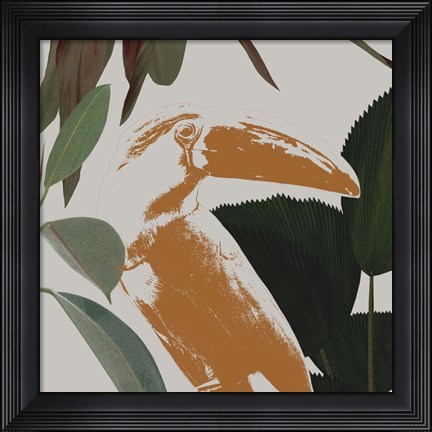 Framed Graphic Tropical Bird III Print