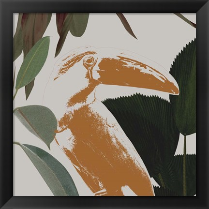 Framed Graphic Tropical Bird III Print