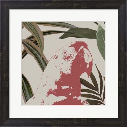 Framed Graphic Tropical Bird IV Print