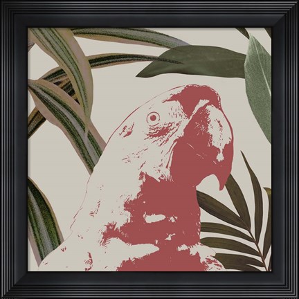 Framed Graphic Tropical Bird IV Print