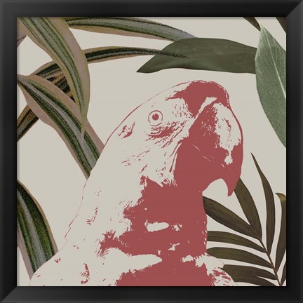 Framed Graphic Tropical Bird IV Print