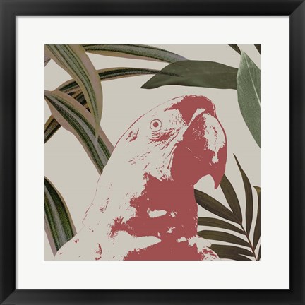 Framed Graphic Tropical Bird IV Print