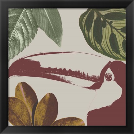 Framed Graphic Tropical Bird V Print