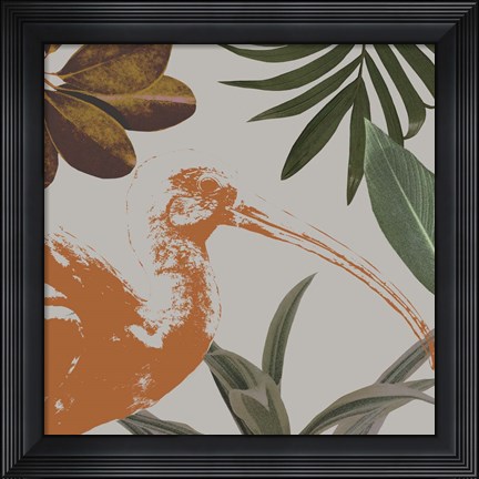 Framed Graphic Tropical Bird VI Print