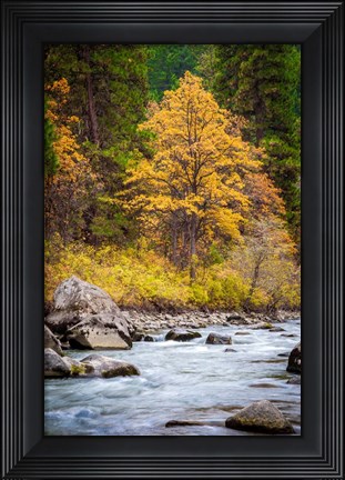 Framed Autumn Across The River Print
