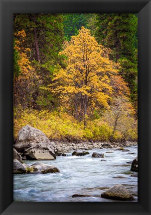 Framed Autumn Across The River Print